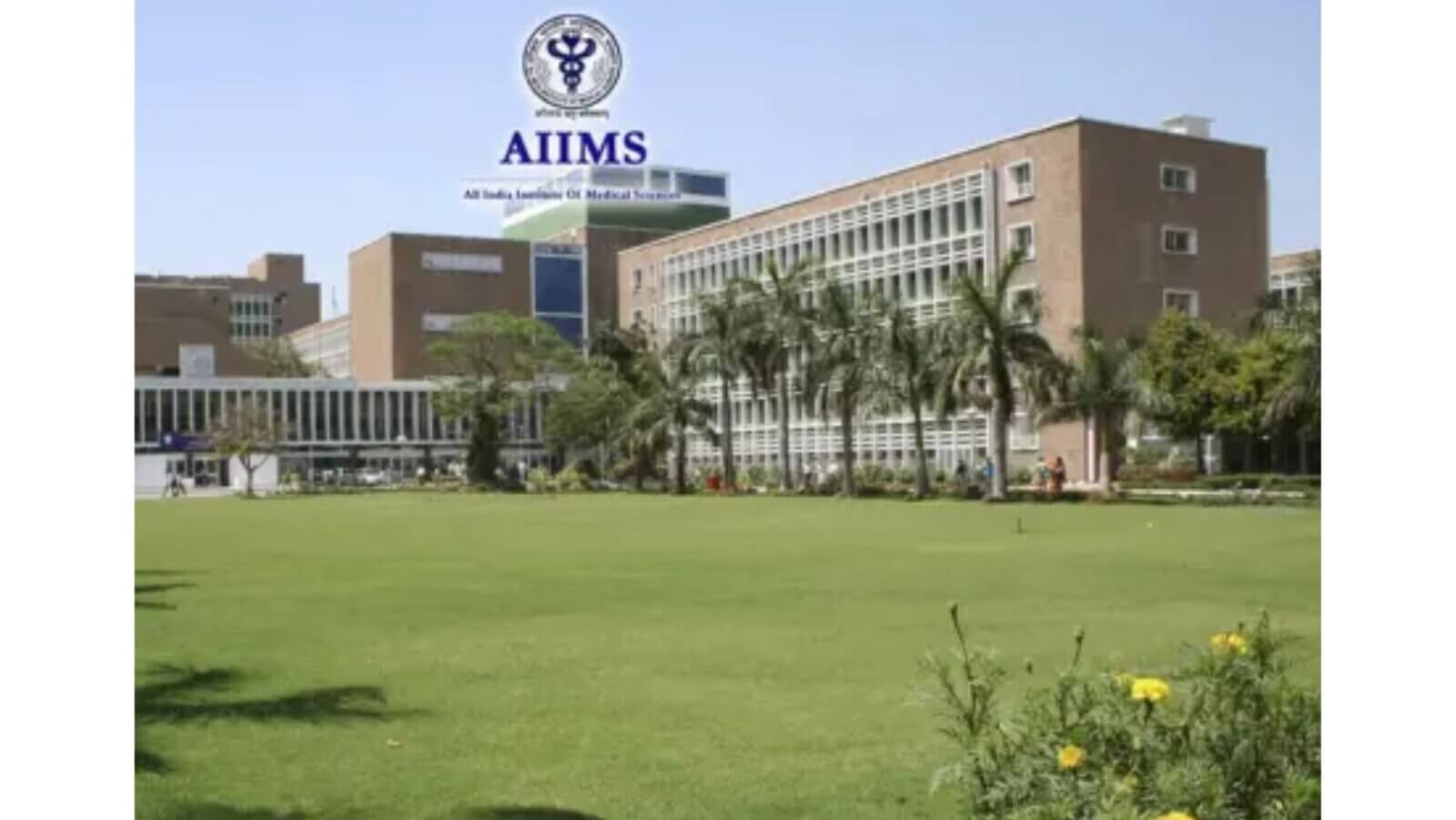 AIIMS leads India’s growing aesthetic surgery push